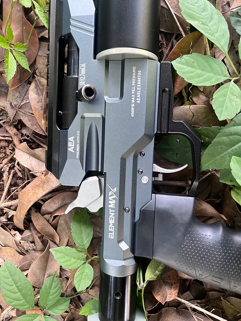 AEA Precision Airgun Element Max with Customized Upgrades